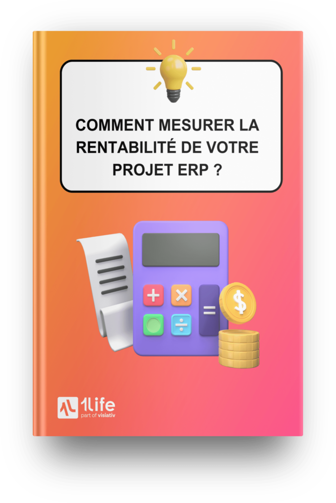 livre blanc rentabilité erp