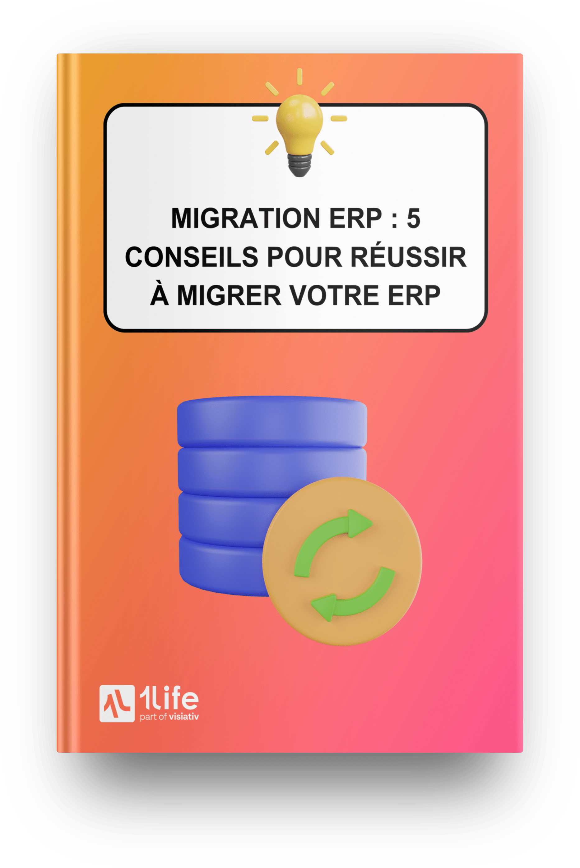 livre blanc migration erp