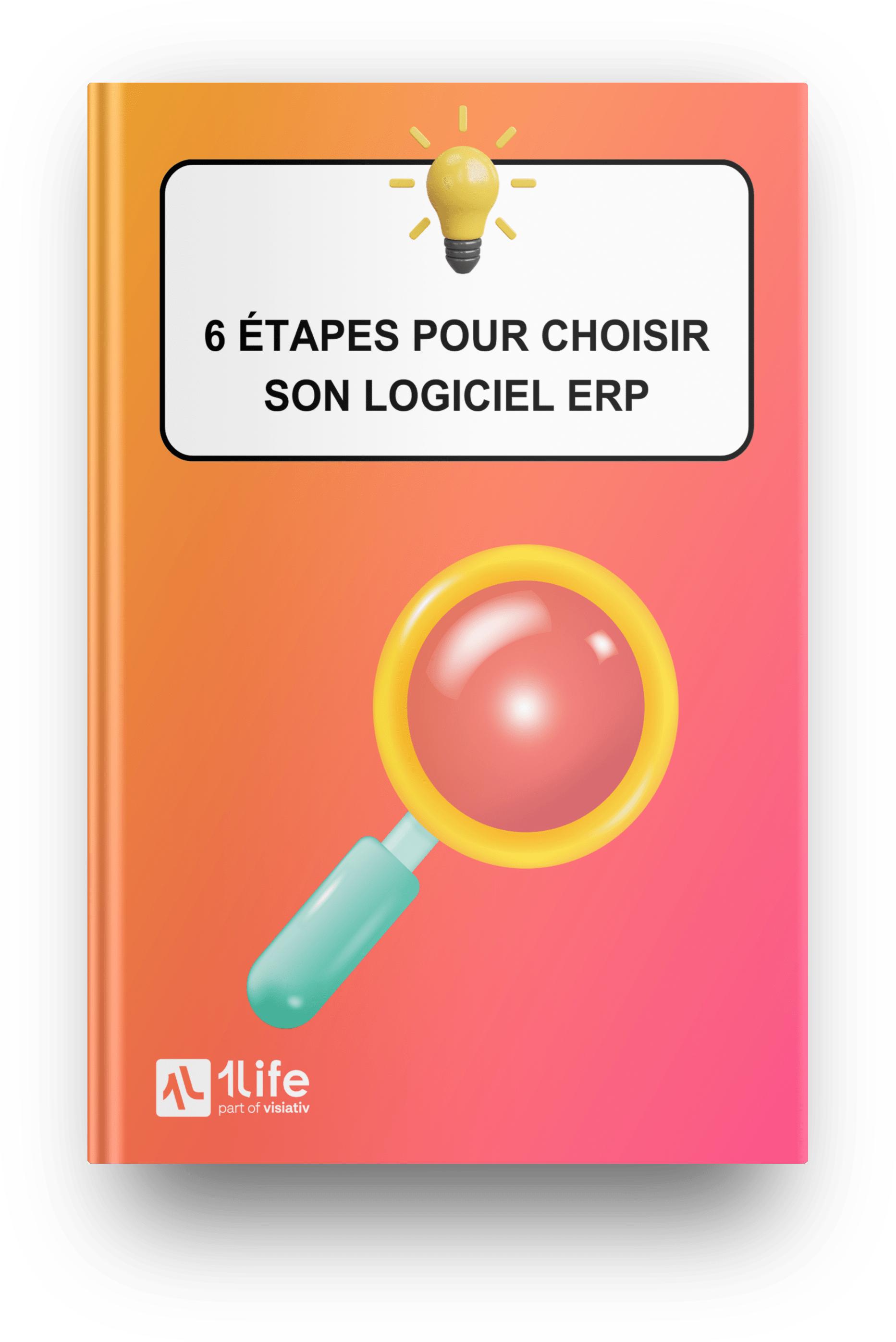 livre blanc etapes choix erp